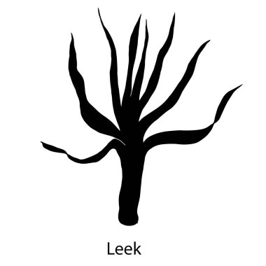 Pırasanın vektör illüstrasyonu