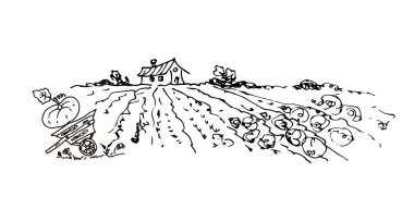 Cadılar Bayramı 'nın vektör çizimi. sonbahar simgeleri