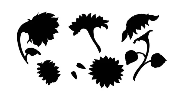 Ensemble Silhouettes Noires Plantes Fleurs — Image vectorielle