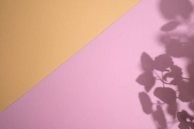  Arkaplanda yaprak gölgesi, doku