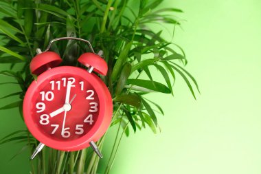 Çalar saat ve yeşil yapraklar duvar arka planında.