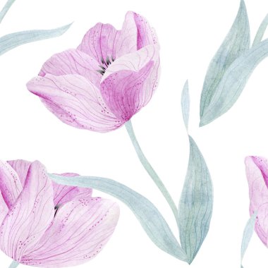 Güzel lale çiçekleriyle suluboya arkaplan