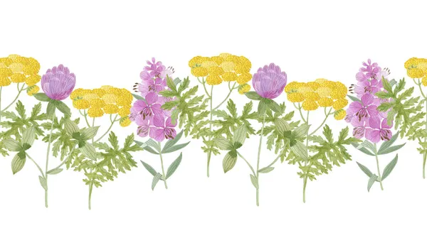 Desenho Aquarela Belas Flores Folhas — Fotografia de Stock