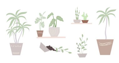 Saksıda saksı bitkileri, vektör illüstrasyonu
