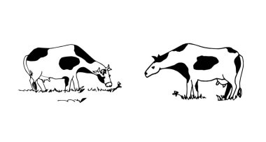 İnek siluetleri, vektör illüstrasyonu