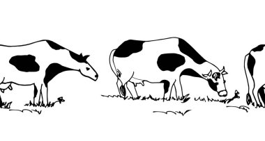 Siyah ve beyaz inekler. Kusursuz sınır. Vektör çizimi. Çizim.