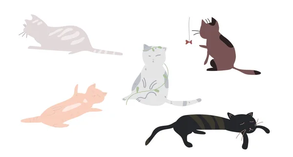 Graciosos Gatos Lindos Ilustración Vectorial — Vector de stock