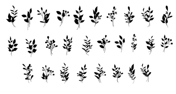 Красивые Листья Изолированные Векторные Иллюстрации — стоковый вектор