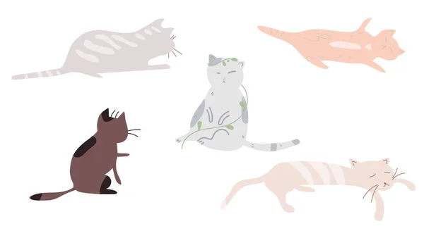 Gatos Diferentes Colores Vector Ilustración Animales — Archivo Imágenes Vectoriales