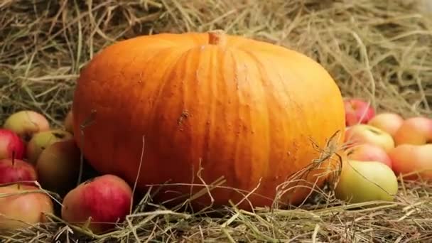 Halloween Dovolená Dekorace Dýně Jack Lucerna Jablka Třesoucí — Stock video