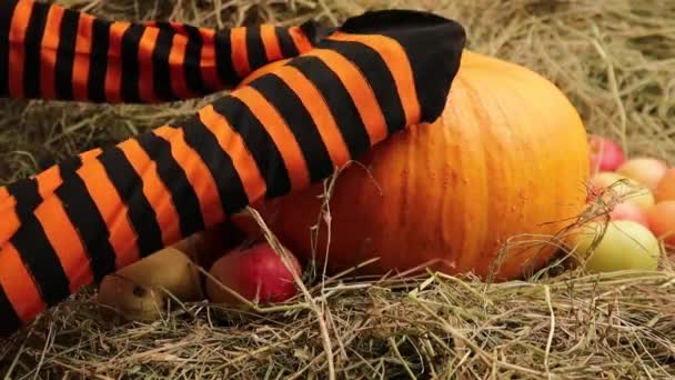 Halloween Dovolená Dekorace Dýně Jack Lucerna Ruce Ponožkách — Stock video