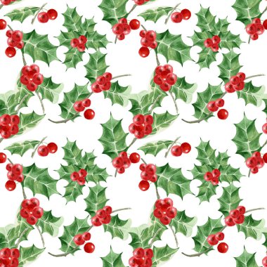 Güzel Holly meyvelerinin suluboya çizimi