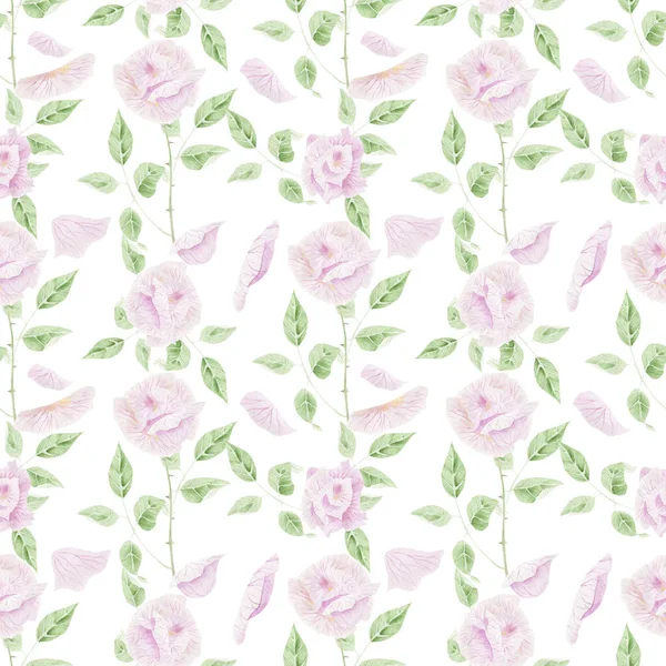 Akvarell Rajz Gyönyörű Rózsa Virágok — Stock Fotó