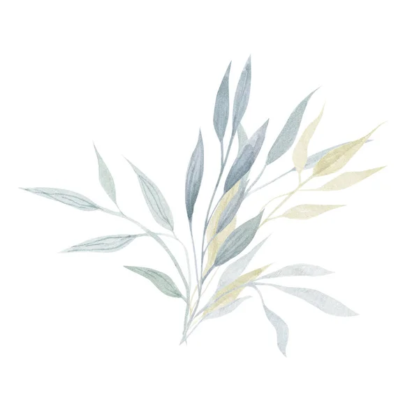 Desenho Aquarela Belas Folhas Verdes — Fotografia de Stock