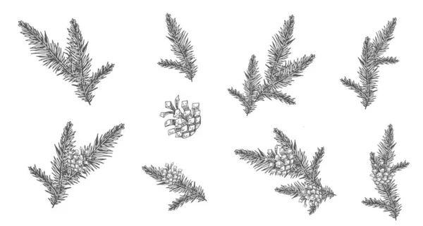 Conjunto Árvores Natal Desenhadas Mão Isoladas Sobre Fundo Branco —  Vetores de Stock