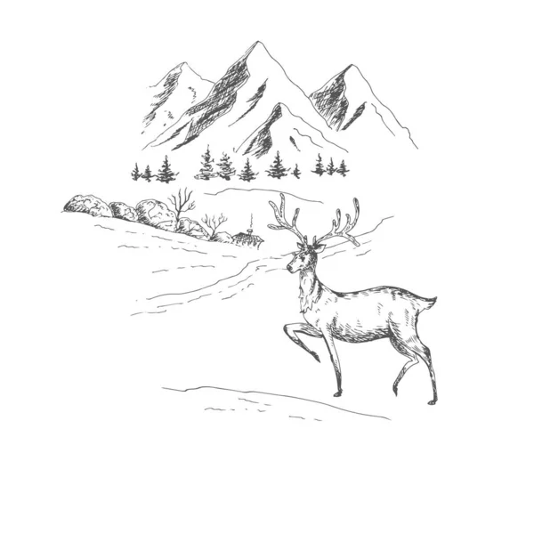 Berglandschaft Hirsche Auf Schnee Vektorillustration — Stockvektor