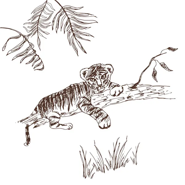 Ζωγραφισμένο Στο Χέρι Σκίτσο Τίγρης Εικονογράφηση Διανύσματος — Διανυσματικό Αρχείο