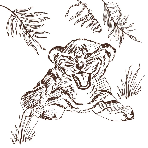 Ζωγραφισμένο Στο Χέρι Σκίτσο Ενός Χαριτωμένου Τίγρη — Διανυσματικό Αρχείο