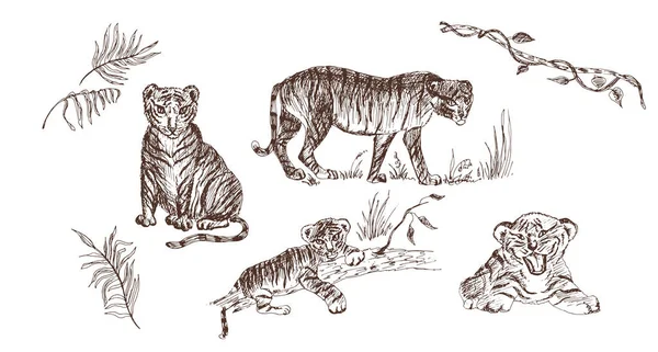 Wild animals drawings Royalty Free Vector Image-saigonsouth.com.vn