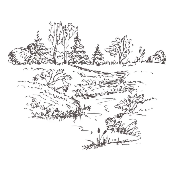 Illustration Vectorielle Beau Paysage Forestier Avec Arbre — Image vectorielle