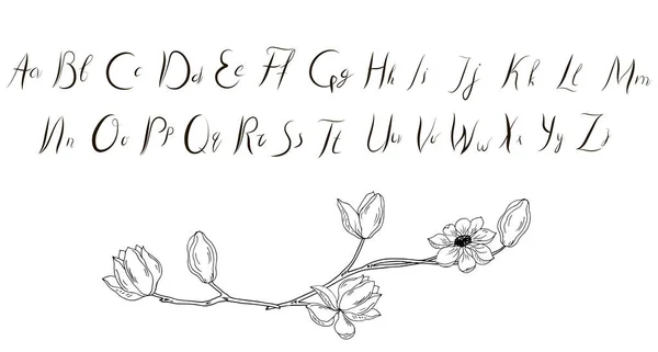 Lettres Alphabet Dessinées Main Illustration Vectorielle — Image vectorielle