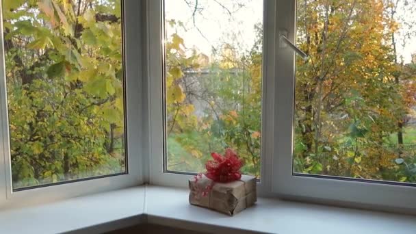 Close Του Δώρου Κουτί Στο Δωμάτιο Για Windowsill — Αρχείο Βίντεο