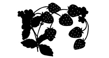 Dalların üzerinde çilek. vektör illüstrasyonu.