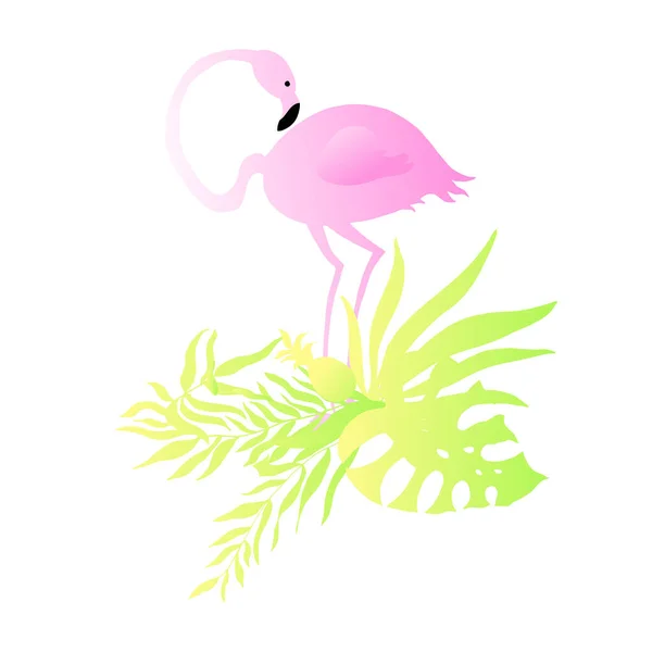 Ilustração Vetorial Flamingo Sobre Fundo Branco — Vetor de Stock