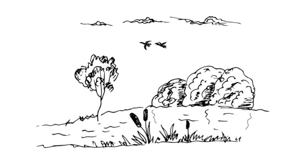 Illustrazione Vettoriale Uno Schizzo Della Natura — Vettoriale Stock