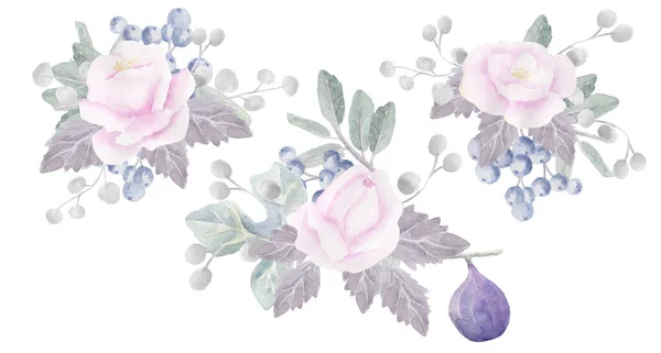 Акварельный Рисунок Красивых Цветов Роз — стоковое фото