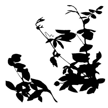 Beyaz üzerine sabitlenmiş bitkilerin vektör çizimi 