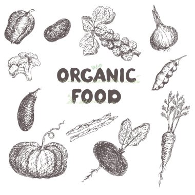 Organik gıdaların vektör çizimi, ayarla