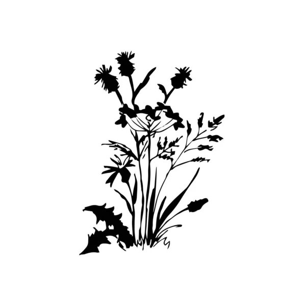 Vectorillustratie Van Een Plant Geïsoleerd Wit — Stockvector