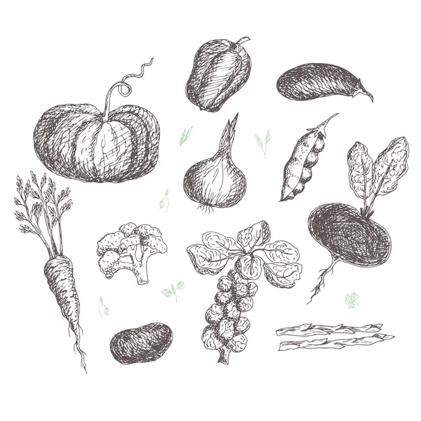 Vector Illustration Organic Food Set — Stock Vector