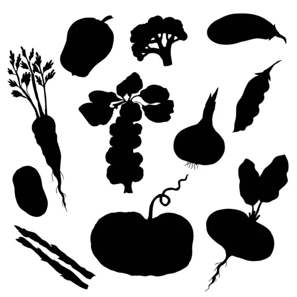 Ilustração Vetorial Alimentos Orgânicos Conjunto — Vetor de Stock