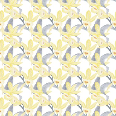 Vanilya çiçeklerinin suluboya çizimi