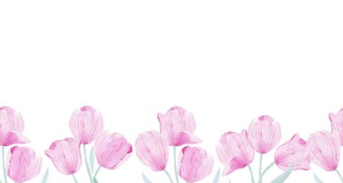 Güzel lalelerin suluboya çizimleri 