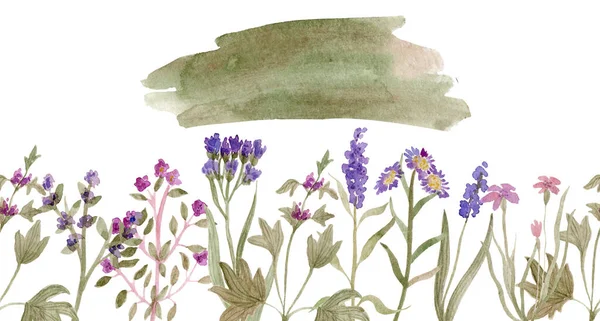 Акварельный Рисунок Красивых Цветов Трав — стоковое фото