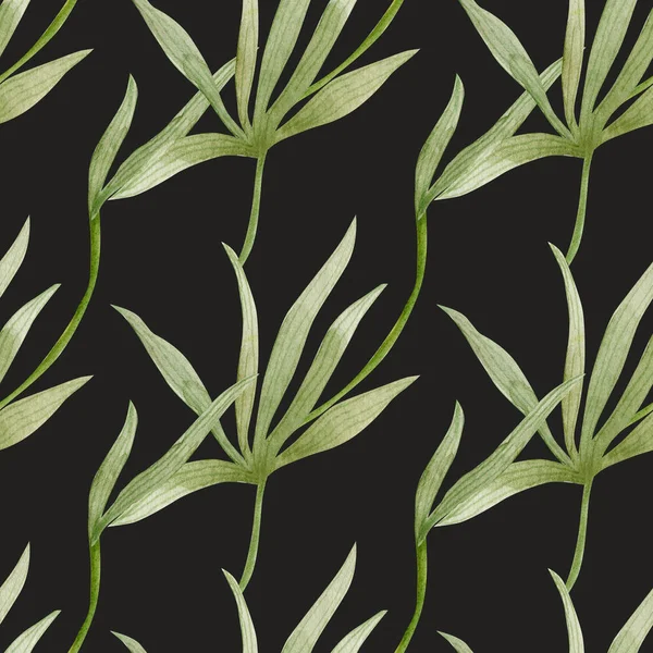 Desenho Aquarela Belas Folhas Verdes — Fotografia de Stock