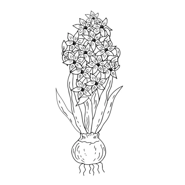 Vektor Illustration Blommor — Stock vektor