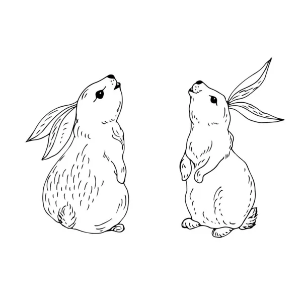 Illustrazione Vettoriale Simpatici Conigli — Vettoriale Stock