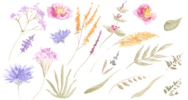 Güzel çiçek ve bitkilerin suluboya çizimi