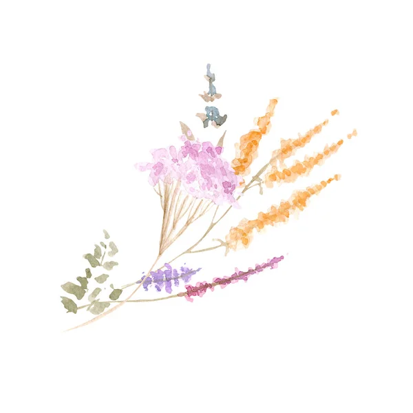 Dessin Aquarelle Belles Fleurs Herbes — Photo