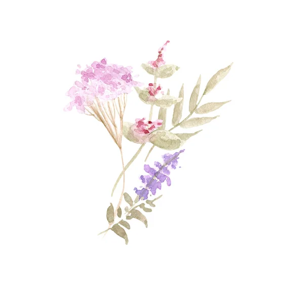 Watercolor Drawing Beautiful Flowers Herbs — Φωτογραφία Αρχείου