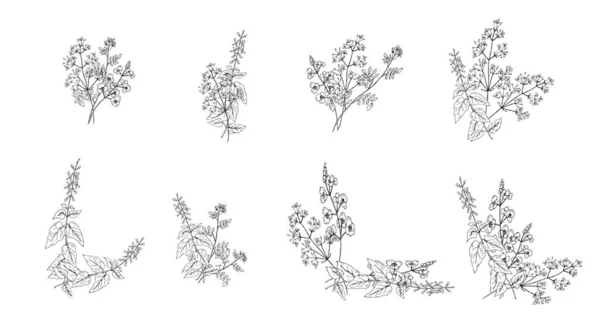 Set Vector Illustraties Van Bloemen Geïsoleerd Witte Achtergrond — Stockvector