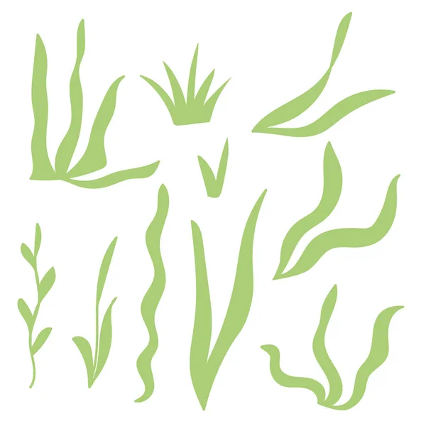 Zelené Listy Rostlin Vektorová Ilustrace — Stockový vektor
