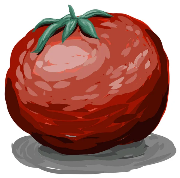 Vector Painting Tomato — Stock Vector