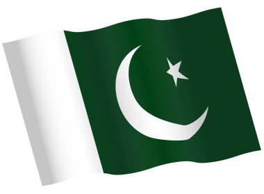 Pakistan bayrak vektör simgesi