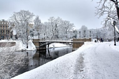 Parktaki köprü