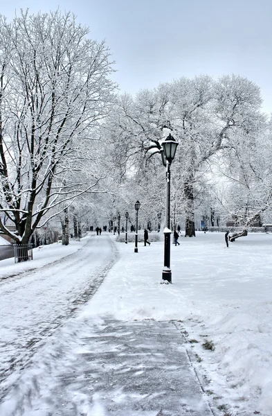 Winter park — Stock Photo, Image